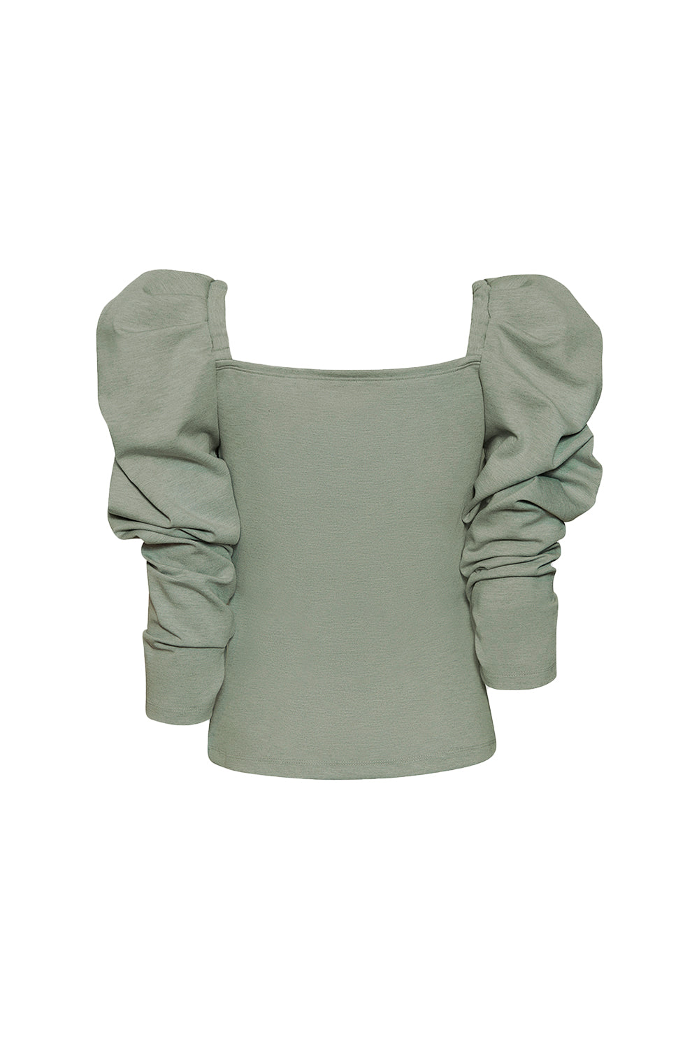new molly sage blouse